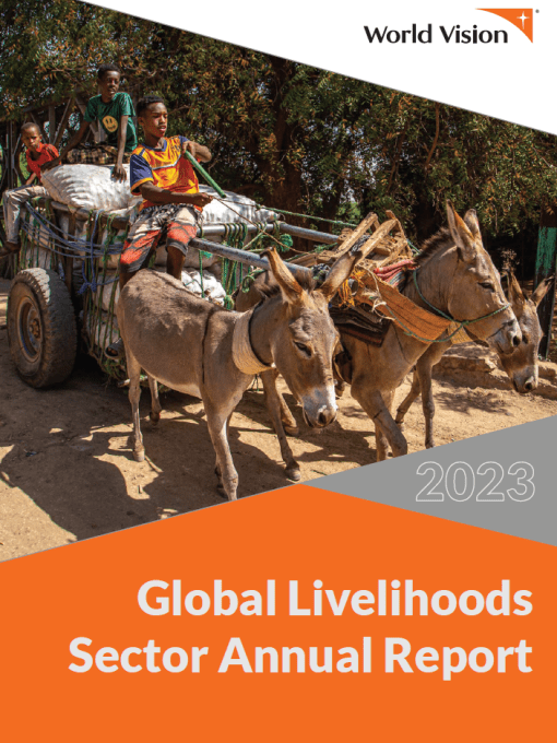 Global Livelihoods Sector Annual Report 2023